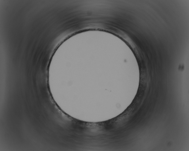 X0000091520807200708311247