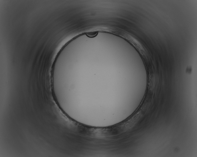 X0000091520808200708311247