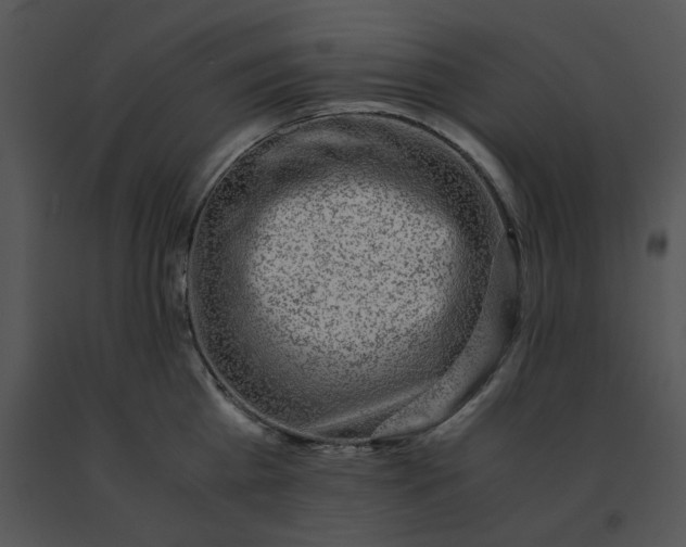 X0000091520809200708311247