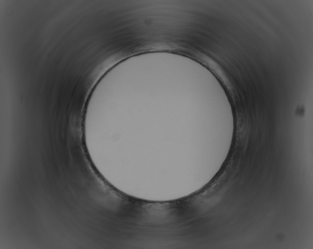 X0000091520810200708311247