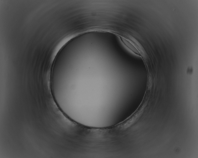 X0000091520812200708311247