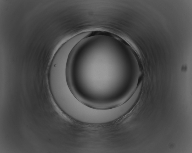 X0000091520813200708311247