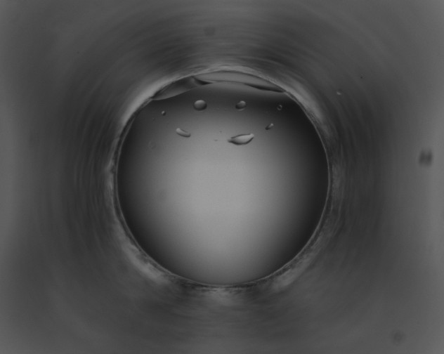 X0000091520814200708311247