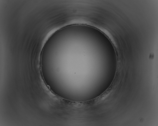 X0000091520815200708311247