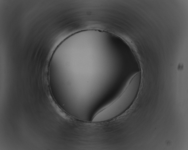 X0000091520816200708311247