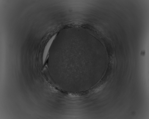 X0000091520818200708311246