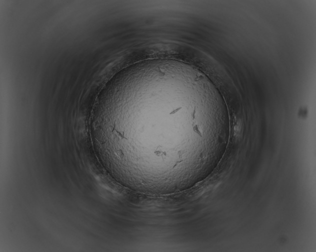 X0000091520819200708311246
