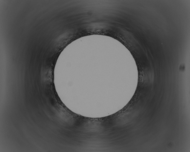 X0000091520820200708311246