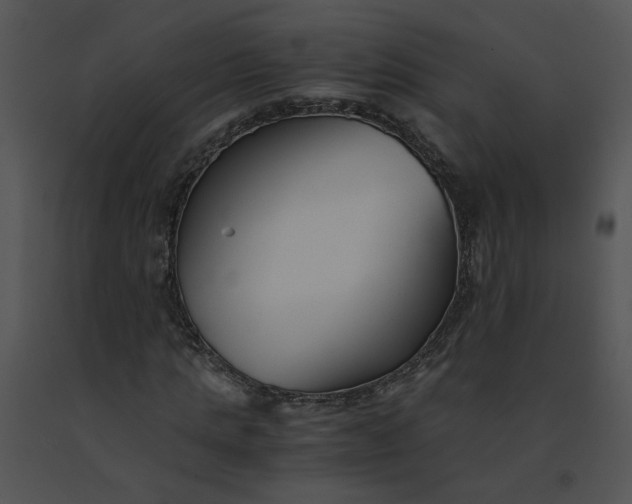 X0000091520821200708311246