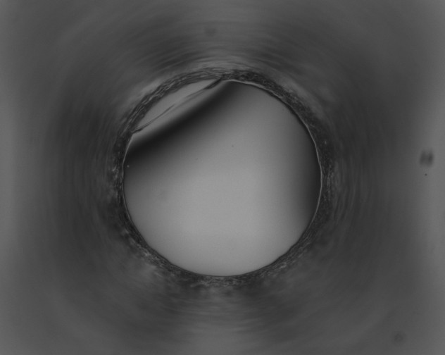 X0000091520822200708311246