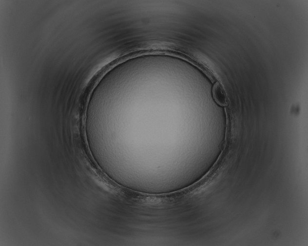 X0000091520827200708311246