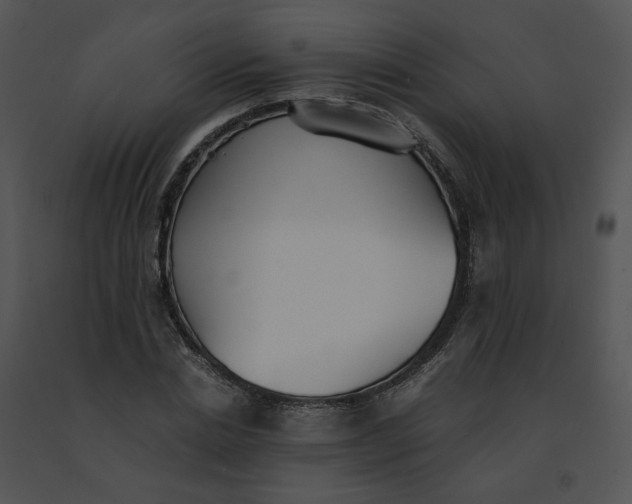 X0000091520830200708311246