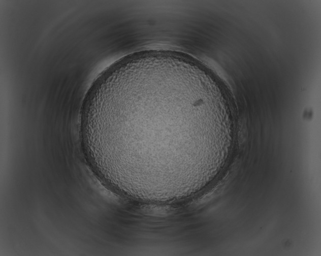 X0000091520831200708311246