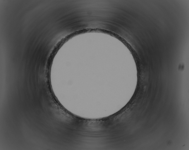 X0000091520832200708311247