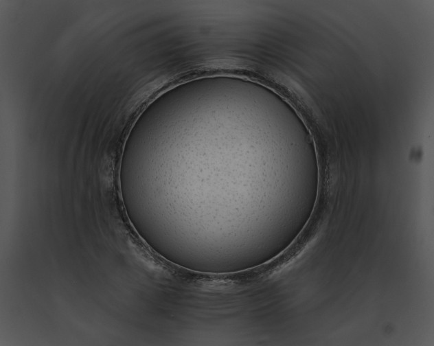 X0000091520833200708311247