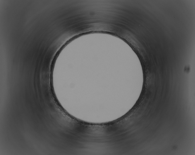 X0000091520836200708311247