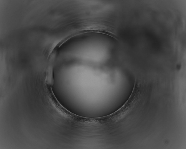 X0000091520838200708311247