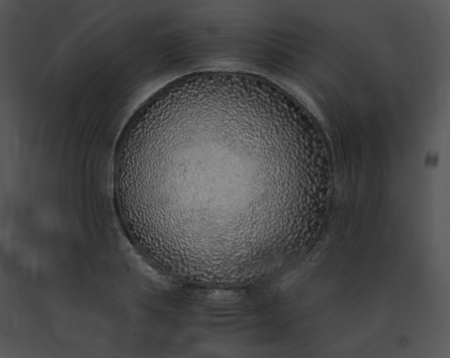 X0000091520839200708311247