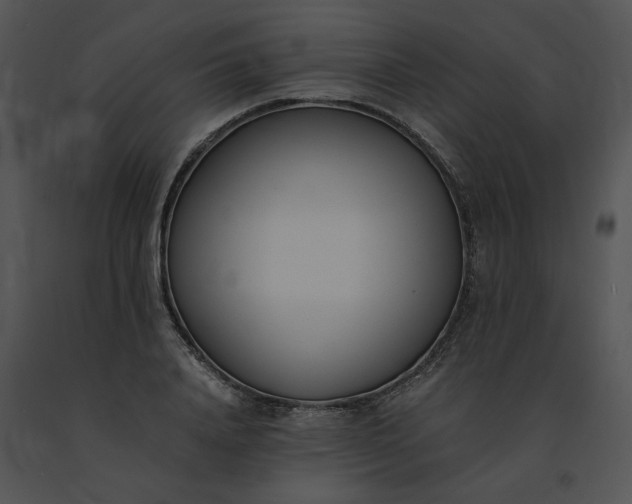 X0000091520840200708311247