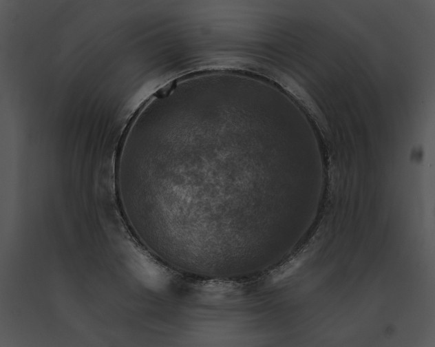 X0000091520842200708311247