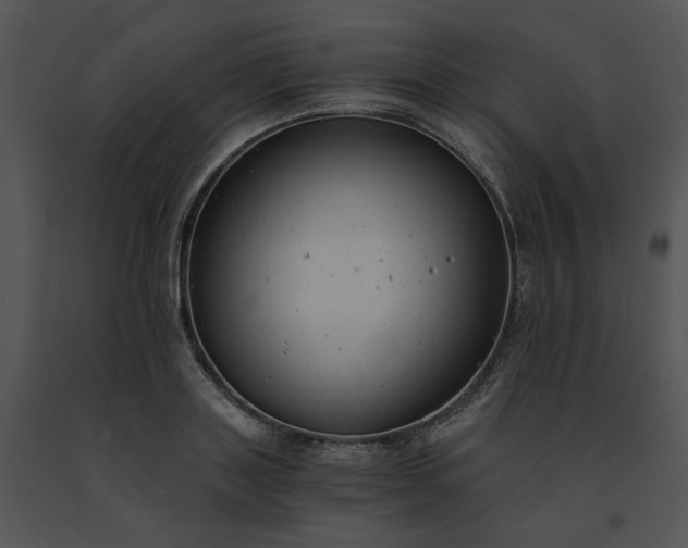 X0000091520843200708311247