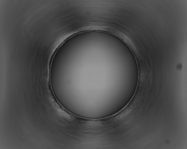 X0000091520844200708311247