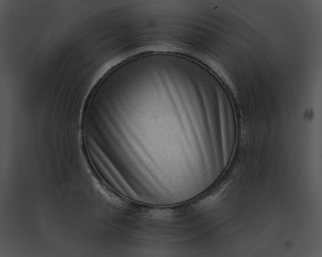 X0000091520845200708311247