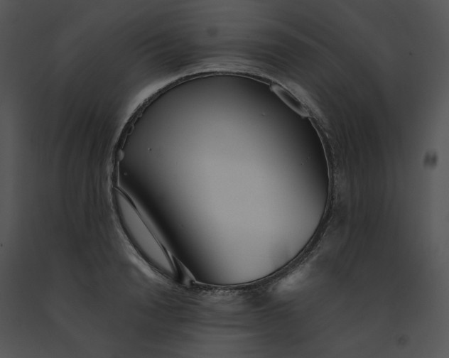 X0000091520846200708311247