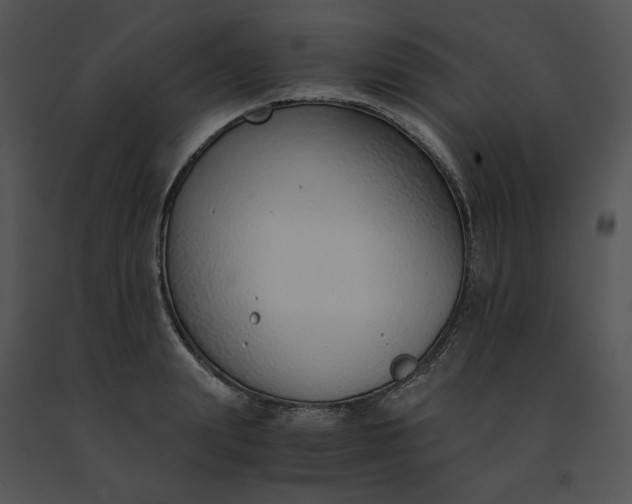 X0000091520847200708311247