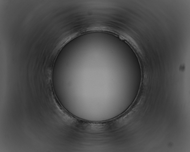 X0000091520849200708311247