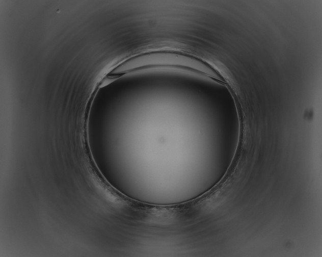 X0000091520850200708311247