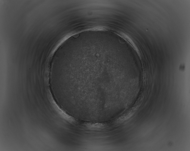 X0000091520851200708311247