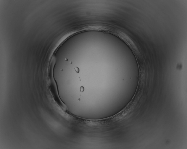 X0000091520852200708311247