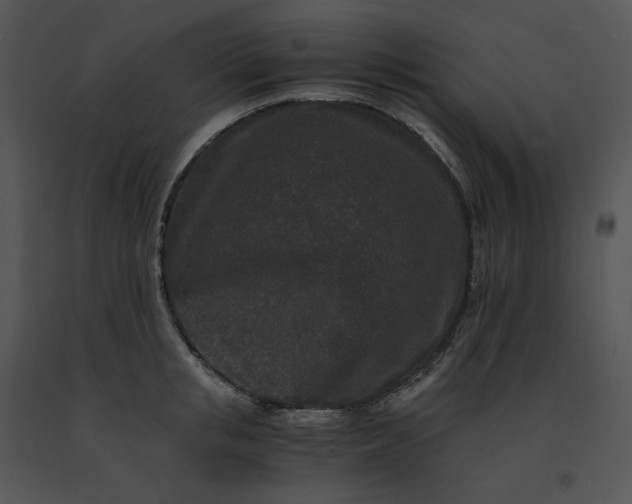 X0000091520853200708311247