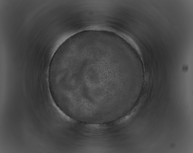 X0000091520855200708311247