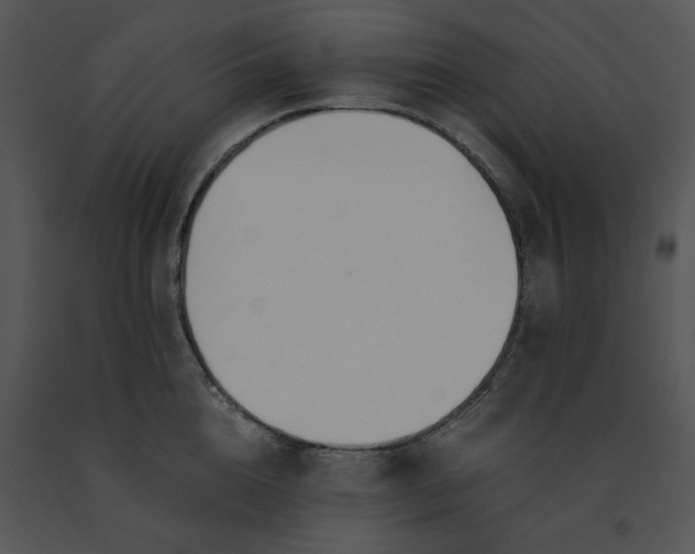 X0000091520856200708311247