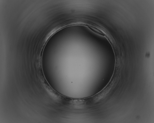 X0000091520858200708311247