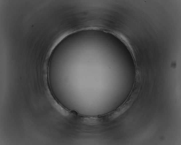 X0000091520859200708311247