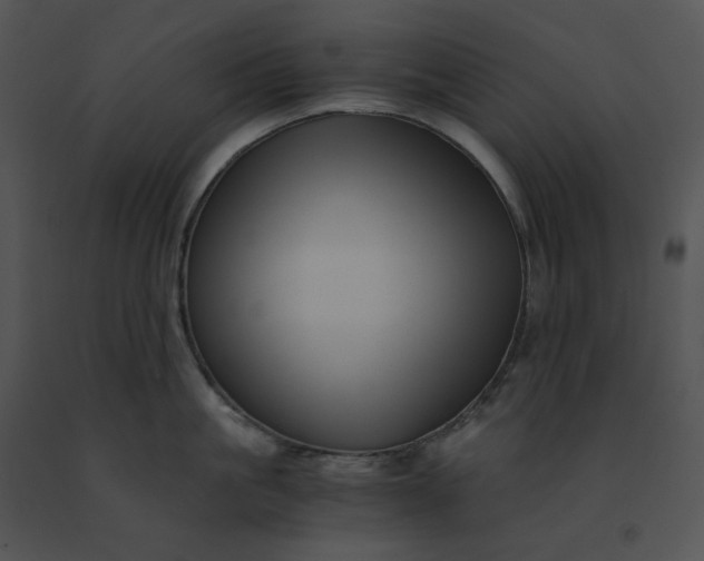 X0000091520861200708311247