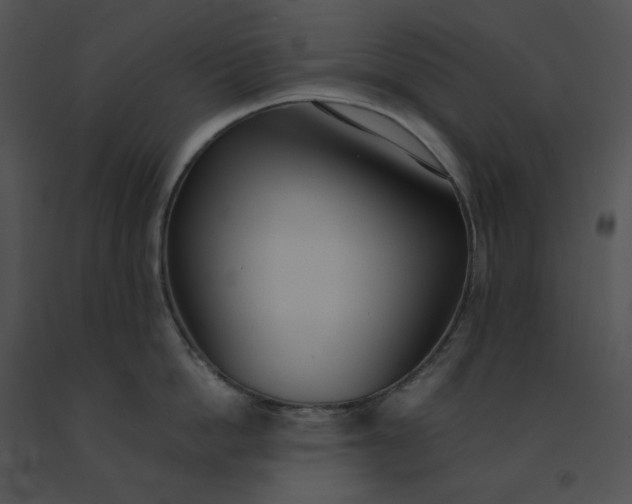 X0000091520862200708311247