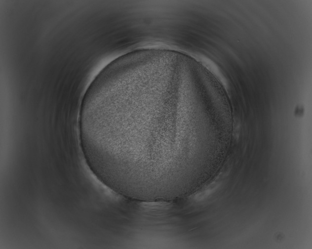 X0000091520863200708311247