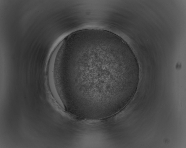 X0000091520864200708311247