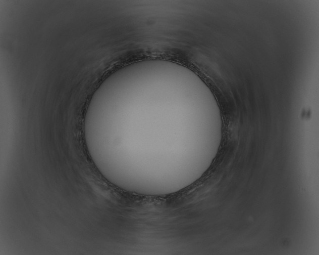 X0000091520865200708311246