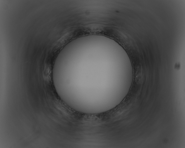 X0000091520866200708311246