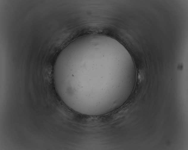 X0000091520867200708311246