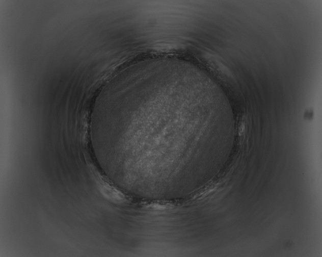 X0000091520868200708311246