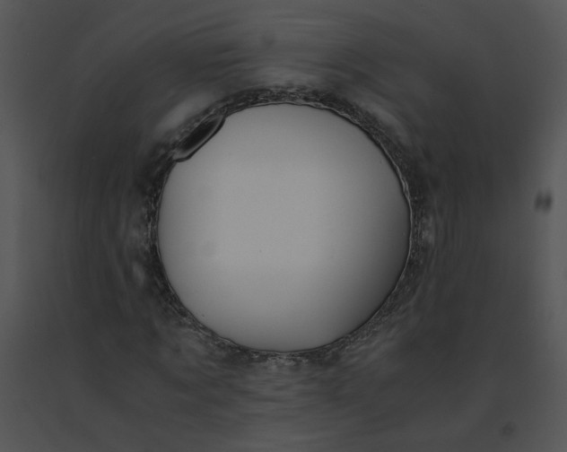 X0000091520869200708311246