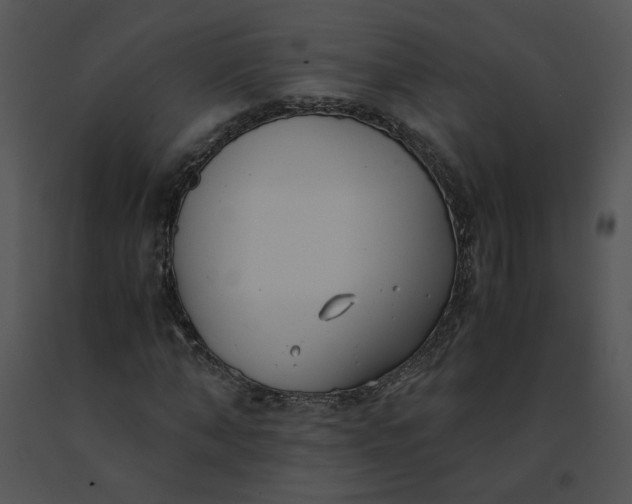 X0000091520870200708311246