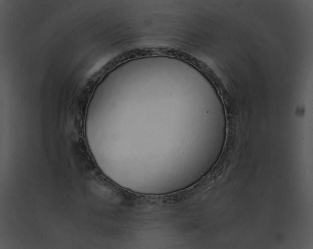 X0000091520871200708311246