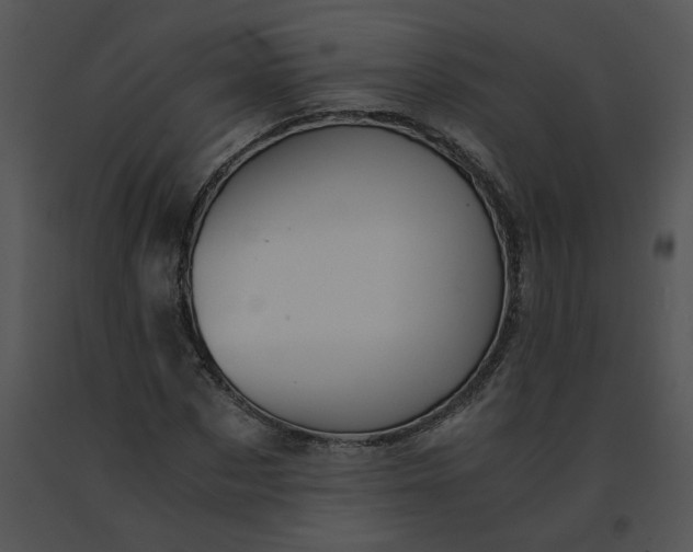 X0000091520873200708311246